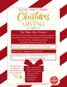 Christmas Shoebox Project